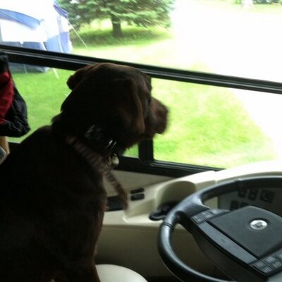 Laurie Fritzinger - Twitter Profile Picture of Laurie Fritzinger (@Lindyfritz) on Twitter