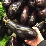 Profile Picture of Ian Sandstrom (@sandstromian) on Instagram