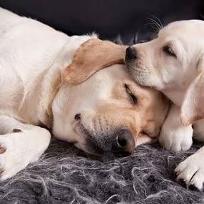 Norman Tapales - Facebook Profile Picture of Norman Tapales (@norman.tapales.7) on Facebook