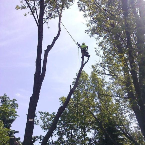 Profile Picture of Kevin Kelps (@kevinguy692000) on Poshmark