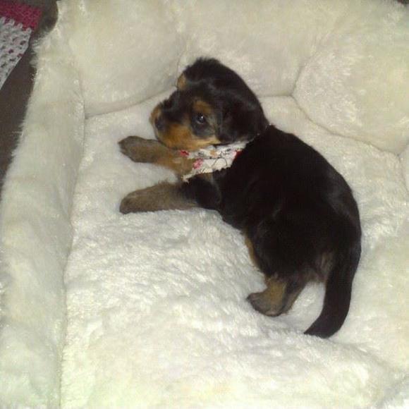 Profile Picture of Rodríguez Vasquez (@mara_vasquez24) on Poshmark