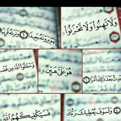 Nehal Amin - Twitter Profile Picture of Nehal Amin (@NehalAm80355362) on Twitter