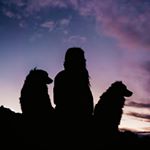 Profile Picture of Dani | Holly & Juneau (@seekwilder) on Instagram