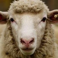 Profile Picture of Stephen Ratcliffe (@stephen-ratcliffe-6) on Quora