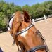 Profile Picture of Nancy Swanson (@nancy.swanson.3110) on Facebook