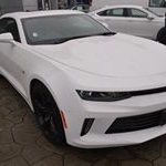 Profile Picture of David O'Meara (@davidatdueckgm) on Instagram