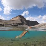 Profile Picture of Glen Downs (@gdownsy) on Instagram