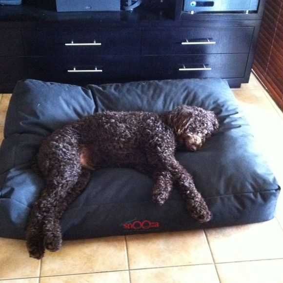 Profile Picture of Glenn Coleman (@glenncol55) on Poshmark