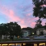 Profile Picture of Phyllis Stozek Caruso Hoover (@hooverphyllis) on Instagram