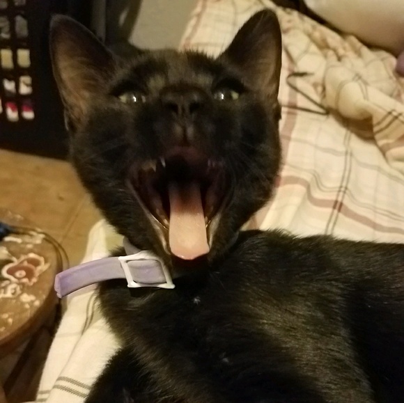 Profile Picture of Jorge Rincon (@duderincon) on Poshmark