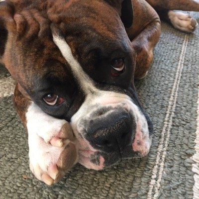 Profile Picture of Dexter Payne (@PayneDpayne3614) on Twitter