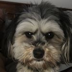 Profile Picture of Nick Arvanitis (@icyclops2) on Instagram