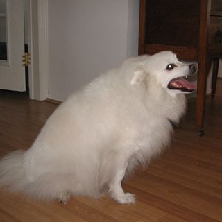 Profile Picture of Calvin Rawlings (@calvin.rawlings.10) on Facebook