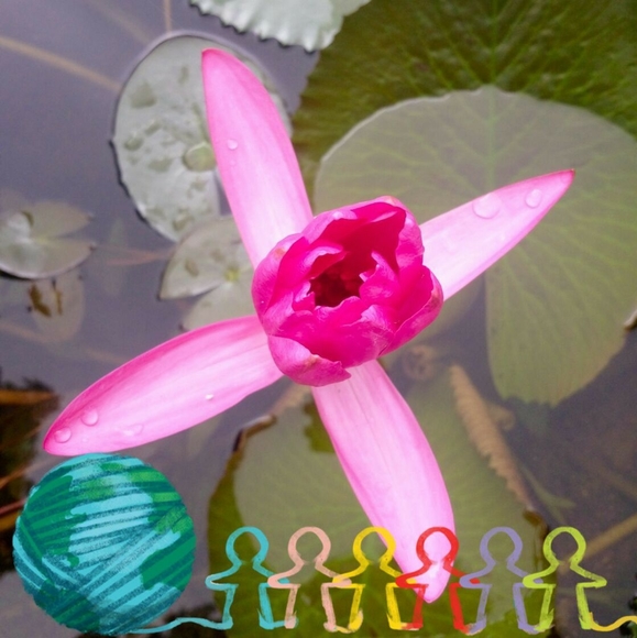 Profile Picture of Singh Amy (@singh_amy) on Poshmark