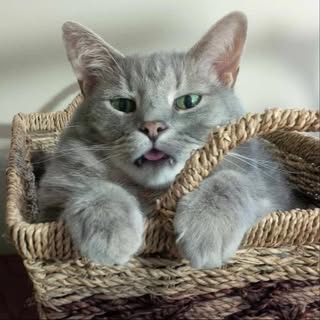 Profile Picture of Derek More (@derek_more) on Instagram