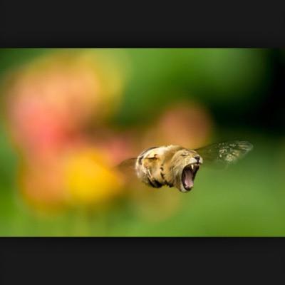 Profile Picture of James Pousson (@JamesPousson) on Twitter