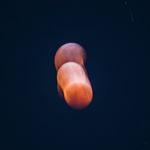 Profile Picture of James Featherstone (@jmsbf) on Instagram