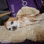 Profile Picture of Stefan Blazek (@stefan.bl.96) on Facebook