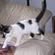 Profile Picture of Ann Schlenker (@ann.schlenker) on Facebook