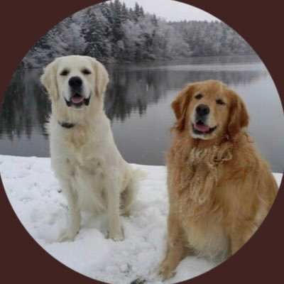 Profile Picture of John Steigerwald (@pghproud3) on Twitter