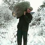 Profile Picture of Mark Heathcote (@mark.heathcote.71) on Instagram