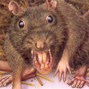 Profile Picture of Eli Gottlieb (@disgustingtrash) on Myspace