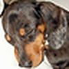 Profile Picture of Big_Johnson (@Big_Johnson) on Flickr