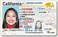 Profile Picture of Driver's licenses in the United Stateson Wikipedia