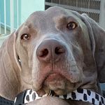 Profile Picture of Ben Townend (@ben_ice__) on Instagram