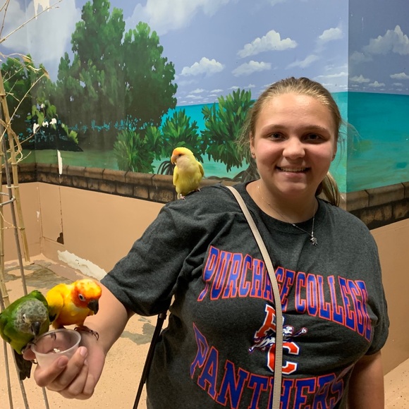 Profile Picture of Grace Tocci (@gtocci) on Poshmark