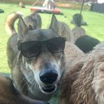 Profile Picture of Aidan Joyce (@yeet.yee.370) on Facebook