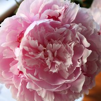 Profile Picture of Isabelle Perry (@isabelle-perry-10) on Quora