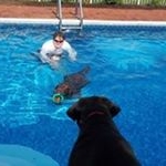 Profile Picture of Pat Kennelly Kane (@patlovesherdogs) on Instagram