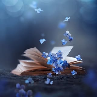 Profile Picture of Hue Nguyen (@hnguyen_) on Instagram