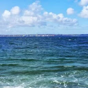 Profile Picture of Peter Lindgren (@Plio808) on Youtube