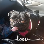 Profile Picture of Cory Ouellette (@cory.ouellette1) on Facebook