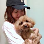 Profile Picture of ✨Hazelnut✨ (@hazel_fong) on Instagram