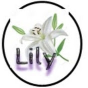 Profile Picture of Lily An (@lilyan5404) on Youtube