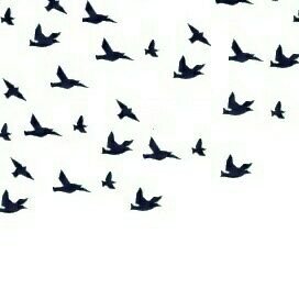 Profile Picture of Ryan Nessa (@RyanNessa1) on Twitter