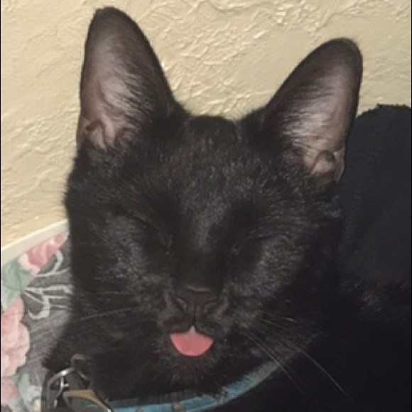 Profile Picture of Rebecca Hennagir (@rebeccahennagir) on Poshmark