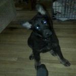 Profile Picture of Kyle Timmerman (@katimmer22) on Instagram