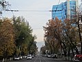 Profile Photo of Kunaev Street (Almaty)on Wikipedia