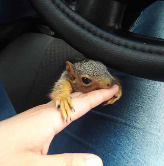 Profile Picture of Shaadi Rangel (@shaadi_rangel) on Poshmark