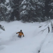 Profile Picture of Craig Park (@craigpark4479) on Youtube