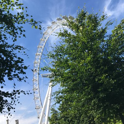 Profile Picture of Jim The Bar Serve (@Zenej4) on Twitter