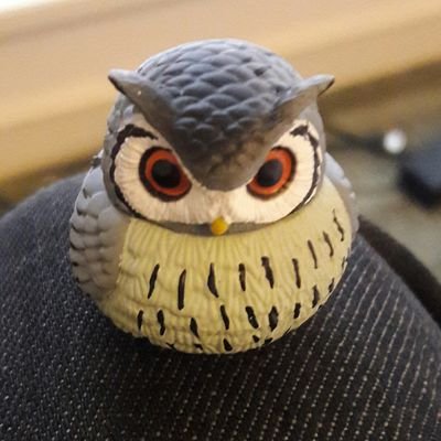 Profile Picture of FatOwl (David Bradshaw) (@DavidFatOwl) on Twitter