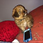 Profile Picture of Zach Jobin (@zacharygamer00) on Instagram