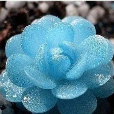 Profile Picture of Lấy Lại Tất Cả (@GiaMinh15361645) on Twitter