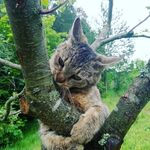 Profile Picture of Samuel Jurčík (@samkus___9) on Instagram