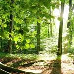 Lynette Davies - Instagram Profile Picture of Lynette Davies (@lynette.davies.750) on Instagram